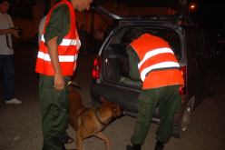 ضبط أكثر من 8 قناطير من الكيف بعين الصفراء في النعامة