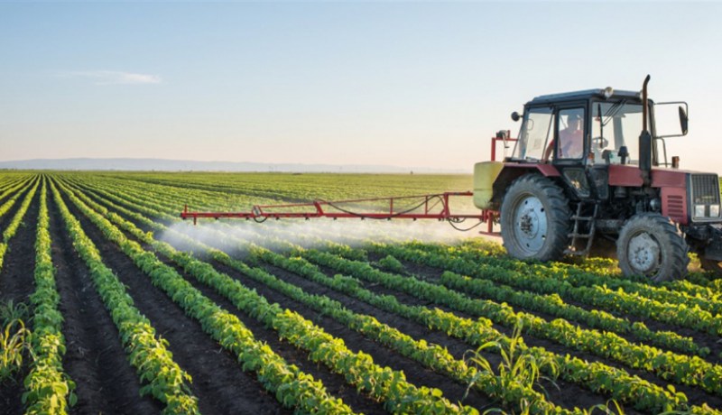 شحات: تدابير جديدة لترقية الفلاحة الصحراوية والجبلية