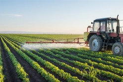 عماري.. القطاع الفلاحي يحتاج لإدماج مهندسين زراعيين شباب