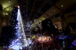 استرالي يدخل موسوعة غينيس بشجرة عيد الميلاد