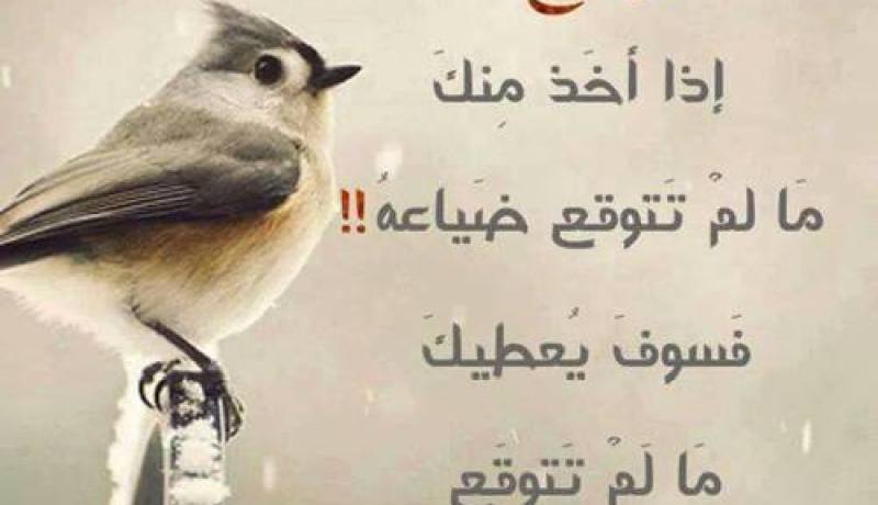 حكمة الله
