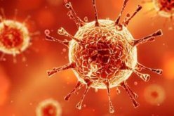 إصابة 50 شخصا بفيروس كورونا فى كوريا الجنوبية