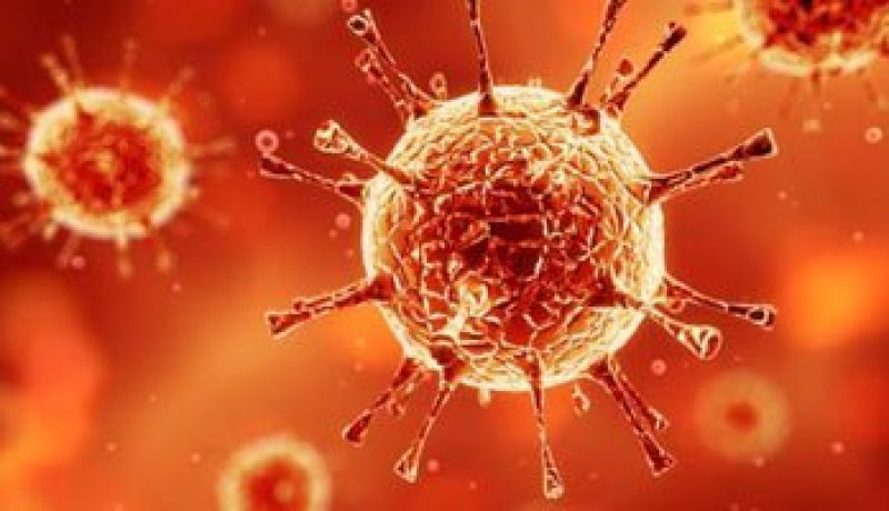 إصابة 50 شخصا بفيروس كورونا فى كوريا الجنوبية