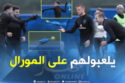 بالصور.. الإنجليز يلعبون بالديكة ويستفزون الفرنسيين !!