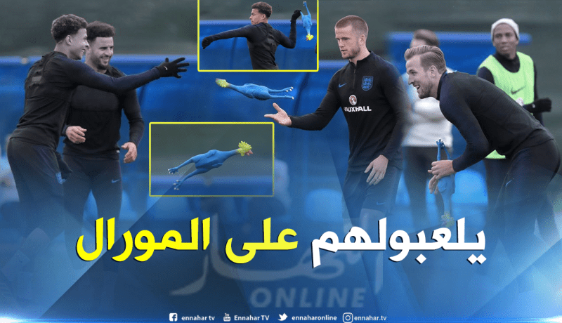 بالصور.. الإنجليز يلعبون بالديكة ويستفزون الفرنسيين !!