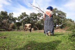 60 ألف امرأة تحصلت على بطاقة الفلاحة