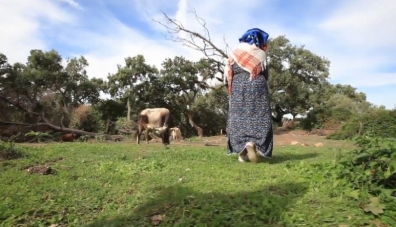 60 ألف امرأة تحصلت على بطاقة الفلاحة