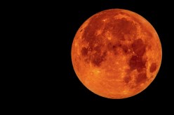 هبوط المسبار “انسايت” على سطح “المريخ” لمعرفة أصل الأرض