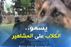 أسماء اللاعبين و النجوم الغربيين ..هذا ما يسمى به كلب الراعي الألماني في الجزائر
