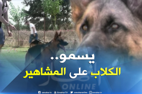 أسماء اللاعبين و النجوم الغربيين ..هذا ما يسمى به كلب الراعي الألماني في الجزائر