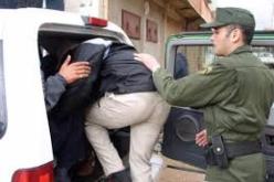 استرجاع 155 رأس من الماشية وتوقيف 38 شخص في قالمة