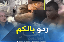 بالفيديو… حافظوا على الأغذية من التلف والتسممات في الصيف