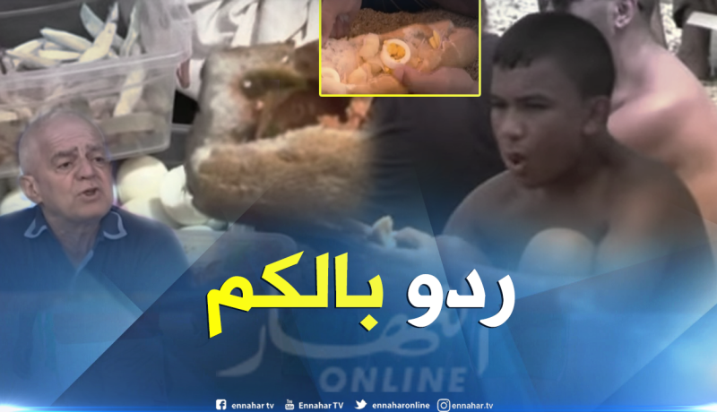 بالفيديو… حافظوا على الأغذية من التلف والتسممات في الصيف