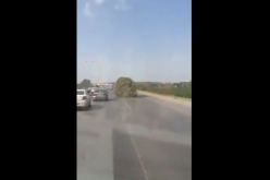 أدغال متحركة في الطرقات الجزائرية