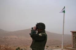 توقيف باروني مخدرات وضبط 43 كيلوغرام من الكيف بوهران وتلمسان