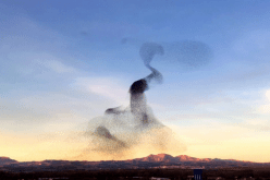 بالفيديو..عرض لايصدّق لطيور راقصة في السماء