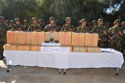 الجيش يعثر على 20 مخبأ للإرهاب ويدمر مدفعا في عين الدفلى