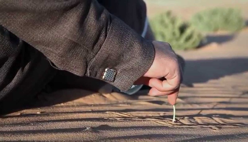 معكم إلى بر الأمان