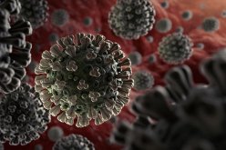 إكتشاف سلالة جديدة من كورونا في اليابان