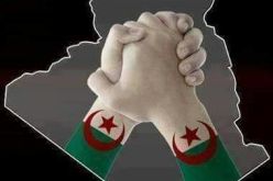 الجزائريون بصوت واحد  “لا للعنف.. لا للتخريب”