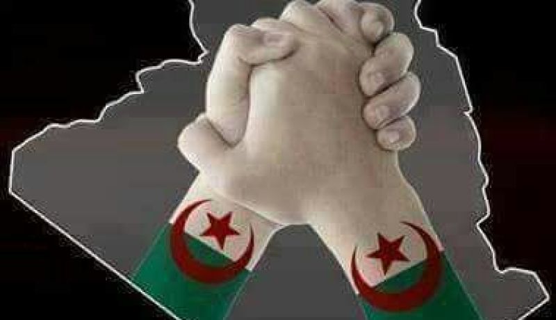 الجزائريون بصوت واحد  “لا للعنف.. لا للتخريب”