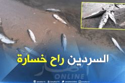 بالصور…نفوق الأسماك بشاطئ تارقة بعين تيموشنت