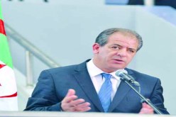 الويكلو يقتل الروح الرياضية هدفنا إلغاؤه ولا يمكن للرابطة والفاف اتخاذ القرارات من دون مشاورة الوزارة