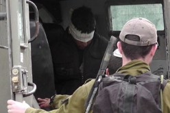اعتقال 55 ناشطا فلسطينيا في الضفة الغربية