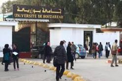 انطلاق التسجيلات الاولية في الجامعات الجزائرية ابتداء من غد الاحد