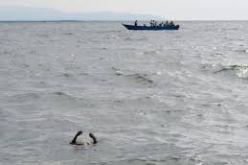 هلاك 30 شخصا على الاقل في حادث غرق عبارة شمال شرق الكونغو الديمقراطية