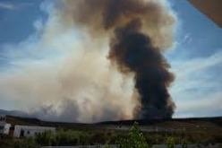 حريق يلتهم 45 هكتارا من الحبوب في قسنطينة