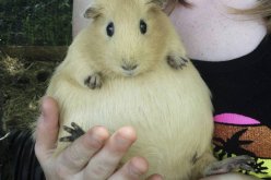 صور رائعة لأجمل لحظات الأنثى عند الحيوان