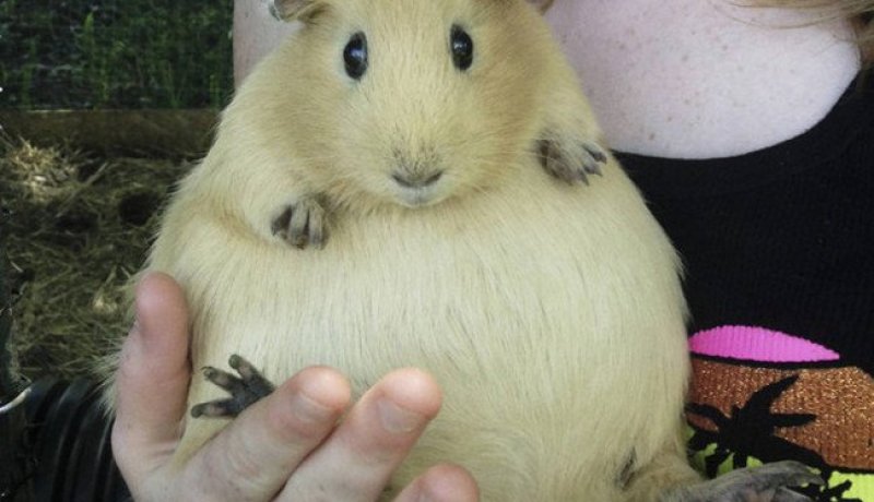 صور رائعة لأجمل لحظات الأنثى عند الحيوان