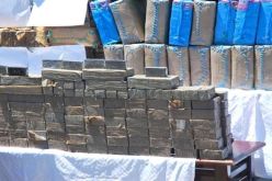 حجز 15 قنطار كيف في عمليتين بتلمسان و عين تيموشنت