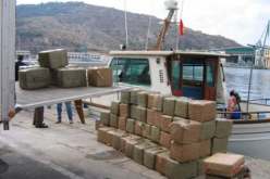 إسبانيا توقف 15 عضوا ضمن شبكتين للاتجار بالمخدرات القادمة من المغرب