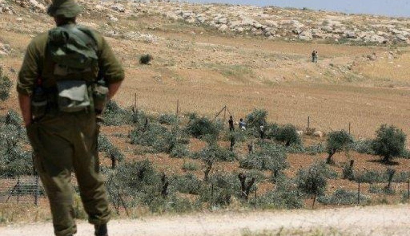 دبلوماسية فرنسية تصفع جندياً صهيونياً بالضفة