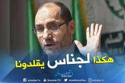 مقري: “بالديمقراطية وتقبل الآخر نجح الإسلاميون في الجزائر”