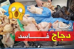 سكيكدة: حجز لحوم بيضاء غير صالحة للاستهلاك بوسط المدينة