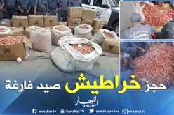 بالصور ..حجز أكثر من 149 ألف خرطوشة صيد فارغة بباتنة