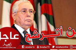 بن صالح : مهمتي تنتهي بعد 90 يوم وتسليمي السلطة للرئيس الجديد للبلاد