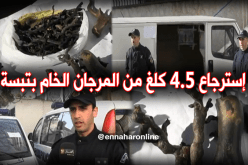 تفكيك شبكة دولية تتاجر بالمرجان الخام بتبسة