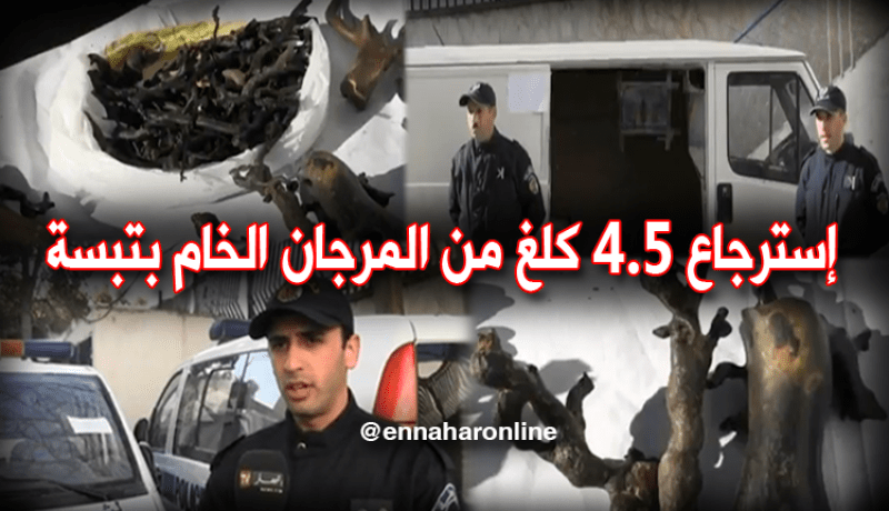 تفكيك شبكة دولية تتاجر بالمرجان الخام بتبسة