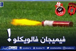 الفيميجان حاضرة ببولوغين رغم بروتوكول “الويكلو”