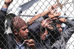 اليونان تبدأ ترحيل الدفعة الثانية من المهاجرين إلى تركيا