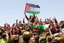 42 سنة على الاحتلال المغربي للصحراء الغربية… عزيمة و إصرار على التحرير