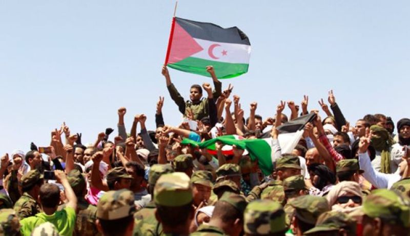 42 سنة على الاحتلال المغربي للصحراء الغربية… عزيمة و إصرار على التحرير