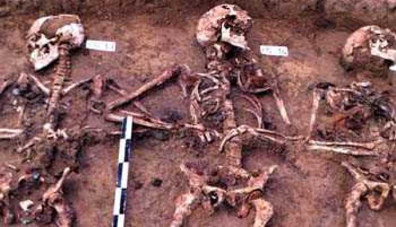 العثور على بقايا رفاة شهداء الثورة الجزائرية في سكيكدة
