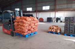 إنطلاق أول عملية لتسويق البطاطا بعد الموسمية لخفض الأسعار