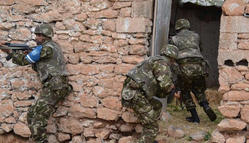 الجيش يوقف 5 عناصر دعم للإرهاب في بومرداس وسطيف