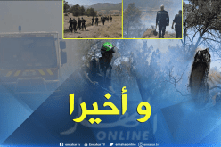 الحرائق تأتي على 300 هكتار من الأشجار بباتنة